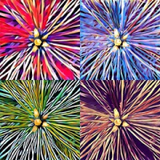 #prisma • <a style="font-size:0.8em;" href="http://www.flickr.com/photos/26518106@N02/28211200130/" target="_blank">View on Flickr</a>