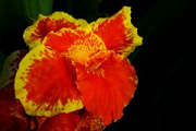Кофру '12-474 • <a style="font-size:0.8em;" href="http://www.flickr.com/photos/26518106@N02/9070813432/" target="_blank">View on Flickr</a>