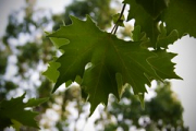 Кофру '12-292 • <a style="font-size:0.8em;" href="http://www.flickr.com/photos/26518106@N02/9068305715/" target="_blank">View on Flickr</a>