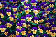 Питер '12-298 • <a style="font-size:0.8em;" href="http://www.flickr.com/photos/26518106@N02/9613314773/" target="_blank">View on Flickr</a>
