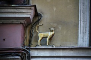 Питер '12-270 • <a style="font-size:0.8em;" href="http://www.flickr.com/photos/26518106@N02/9613292623/" target="_blank">View on Flickr</a>