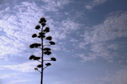 Кофру '12-464 • <a style="font-size:0.8em;" href="http://www.flickr.com/photos/26518106@N02/9070767422/" target="_blank">View on Flickr</a>