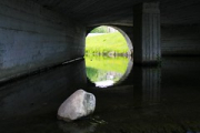 Питер '12-196 • <a style="font-size:0.8em;" href="http://www.flickr.com/photos/26518106@N02/9616474054/" target="_blank">View on Flickr</a>