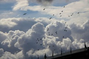 Стокгольм '12-13 • <a style="font-size:0.8em;" href="http://www.flickr.com/photos/26518106@N02/9599913738/" target="_blank">View on Flickr</a>